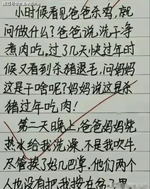 遇	见中考满分作文