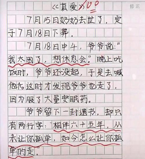 小	学生作文100字大全