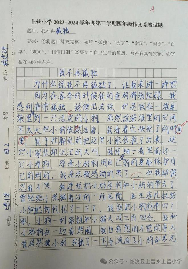 小	学生作文放风筝300字