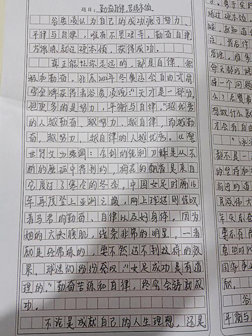 父爱作文800字抒情高中(父爱深沉的高中抒情作文800字)