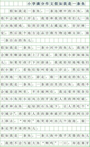 三	年级小学作文300字