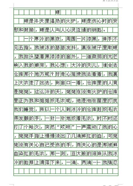 小	学三年级300字作文