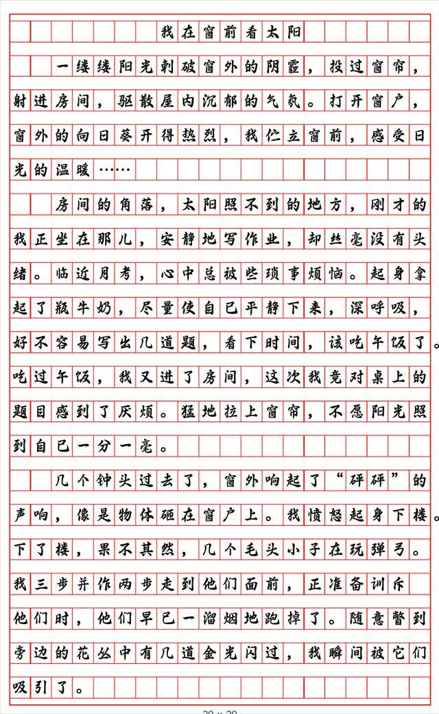 一个的人作文600字初中作文(初中作文600字)