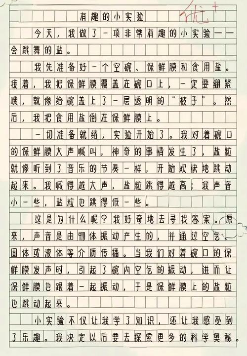 春	节小学生作文350字